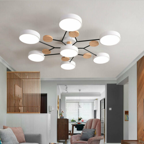 Nordic Ceiling Lamp